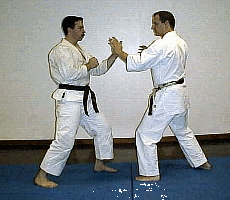SSK Power Karate Fighting Combination
