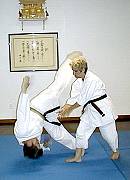 Aikido Throw